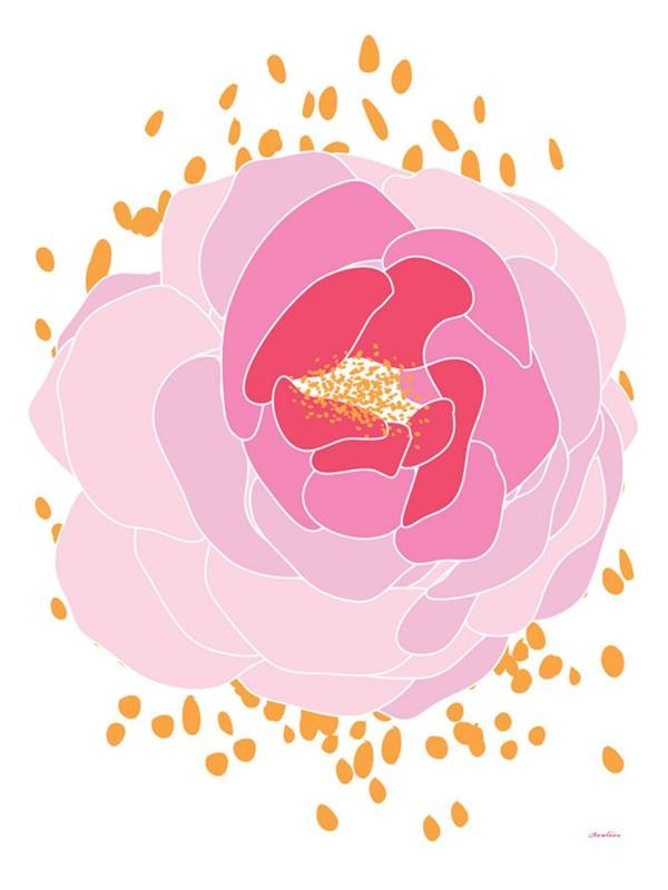 2011 Pink Peony